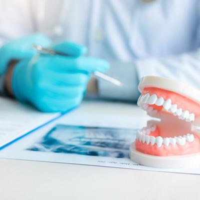 Model teeth sitting on a dentist’s desk