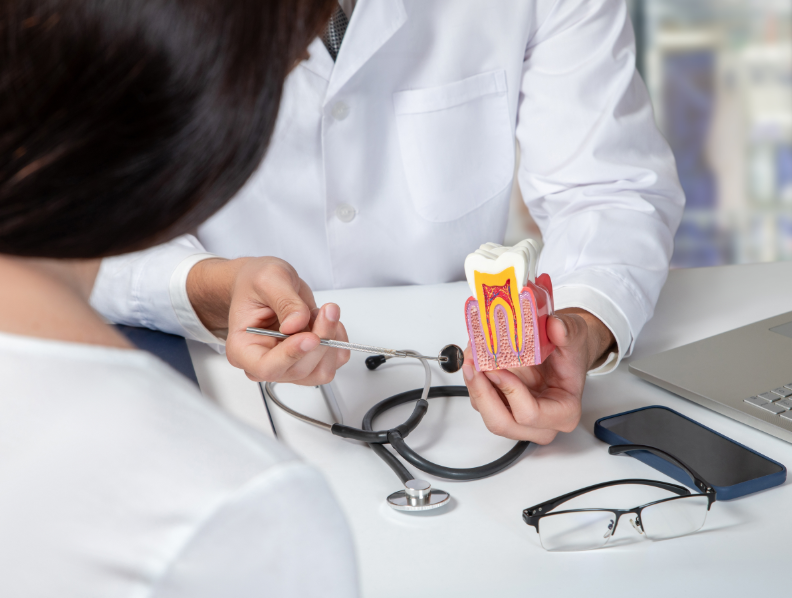 Dentist showing patient model of a root canal